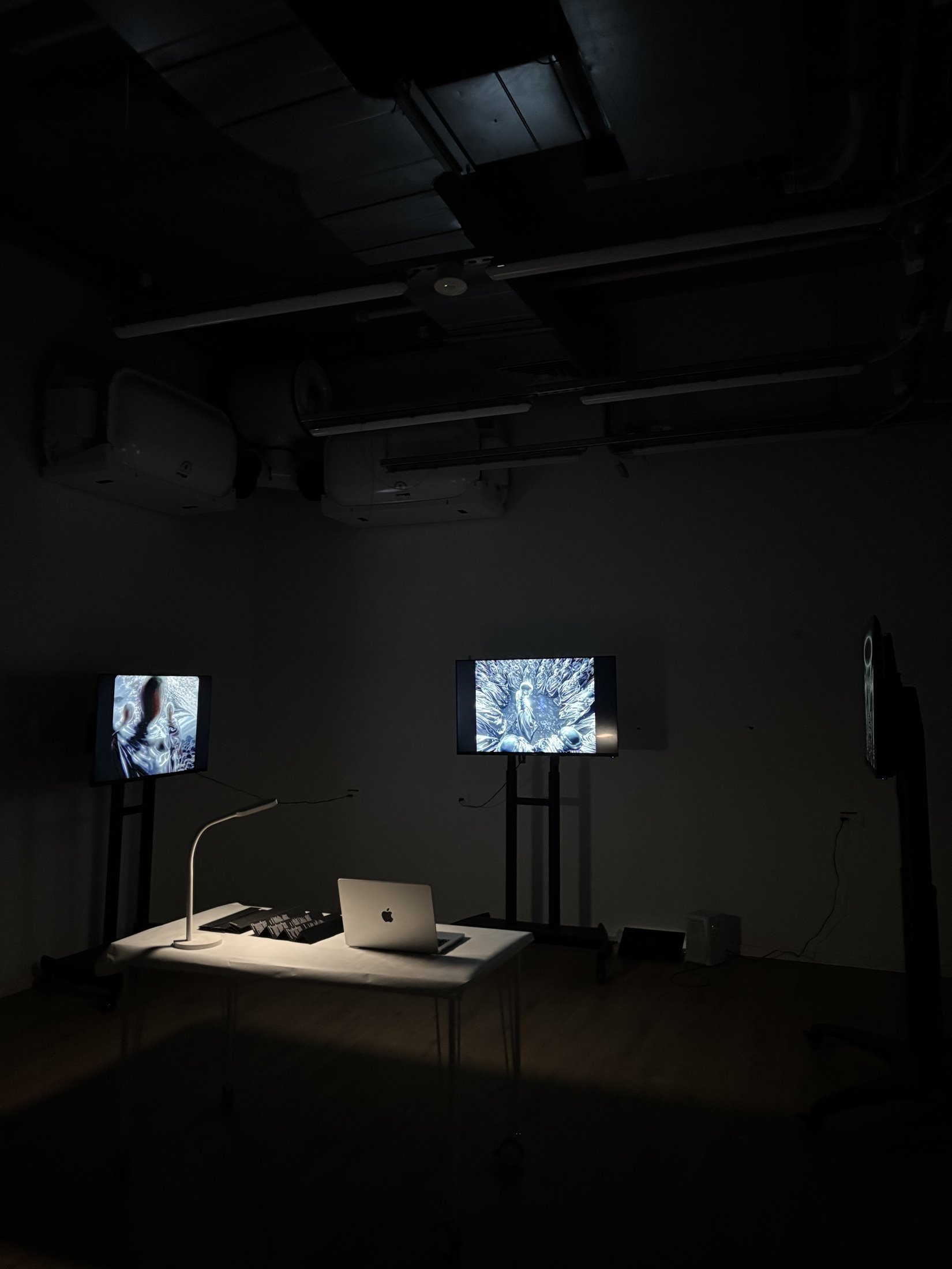 Interior Faces — photograph